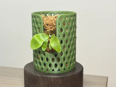 Leaf-shaped Hollow Staghorn Fern and Air Plant Pot