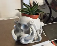Mini pot à succulentes crâne-pieuvre — photo 1