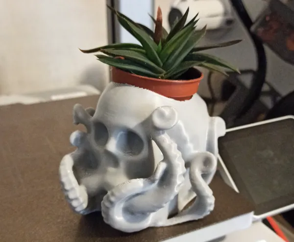 Mini pot à succulentes crâne-pieuvre