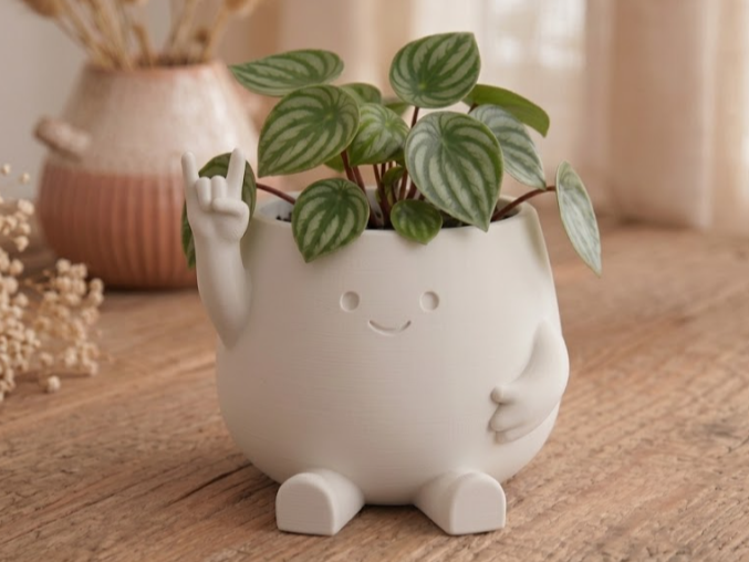 Rock Pot - Cute Smiley Face Planter