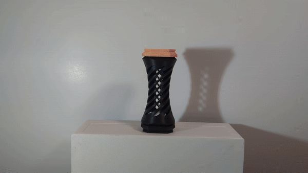 https://makerworld.bblmw.com/makerworld/model/US808df58dfdb2bb/design/2024-09-08_c3bd5a142e4ac.gif