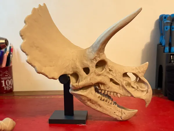 https://makerworld.bblmw.com/makerworld/model/US8094b858b2f0aa/design/2025-12-11_b4b83c3b265308.jpg