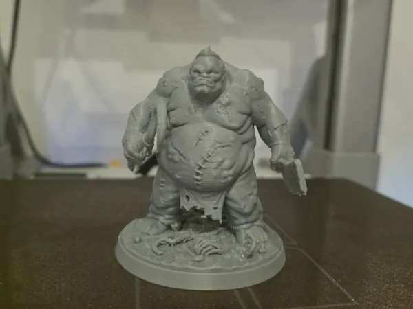 https://makerworld.bblmw.com/makerworld/model/US809fd442a65021/design/5c867127ebd198bf.jpg
