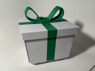 Surprise Christmas Box