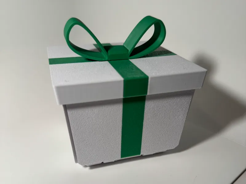 Surprise Christmas Box