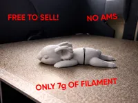 Koala flexible (impression sans assemblage) — photo 1