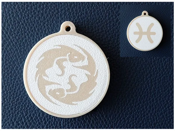 https://makerworld.bblmw.com/makerworld/model/US80a699d7836060/design/2025-01-16_1895a9cc37174.jpg