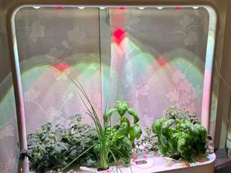 Click and  Grow  Smart Garden 9  estensioni luci