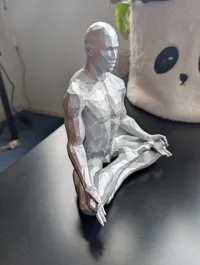 0.2mm layer, 2 walls, 5% infill