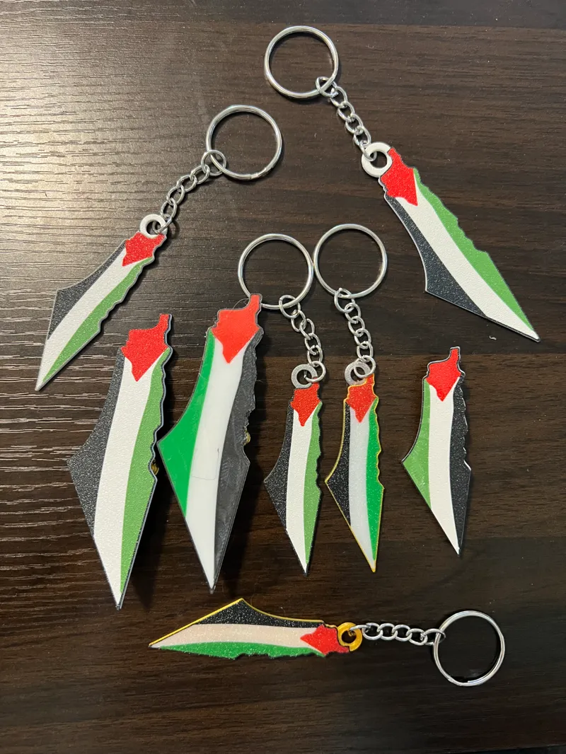 Palestine Map+Flag