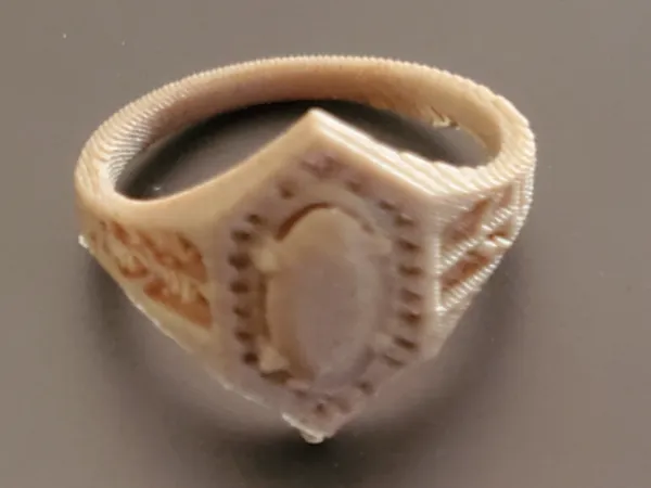 https://makerworld.bblmw.com/makerworld/model/US80b0c34a3c4f16/design/2025-03-09_3f3a51a1e8136.jpg