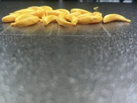 Petite banane miniature — photo 2