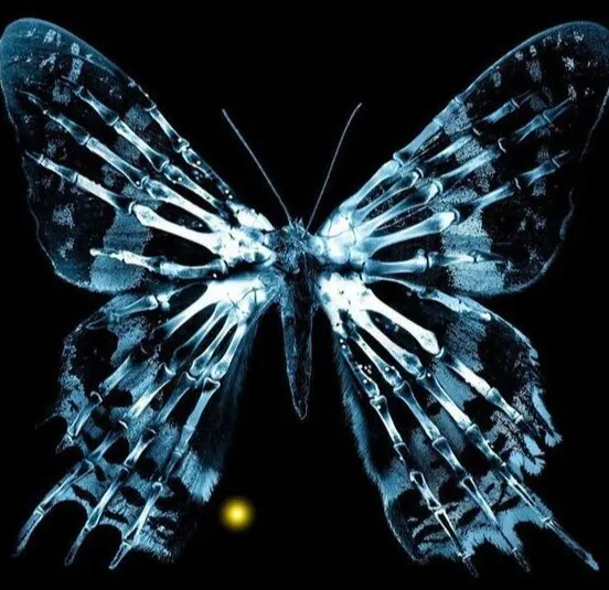 Fringe Butterfly Hueforge