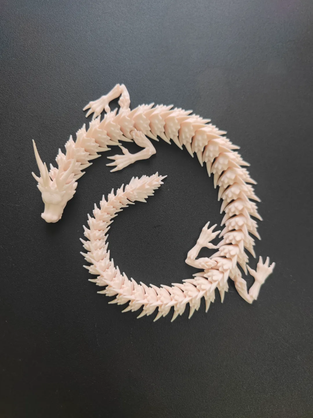 A little white dragon view 2