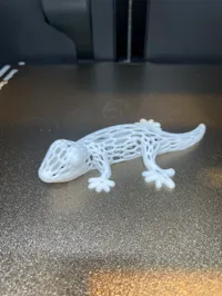 Gecko style Voronoï — photo 2