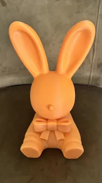 0.2mm layer, 2 walls, 15% infill 250 mm hoch