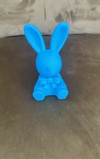 0.2mm layer, 2 walls, 15% infill 200 mm hoch