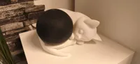 kleineres Model für den A1 Mini