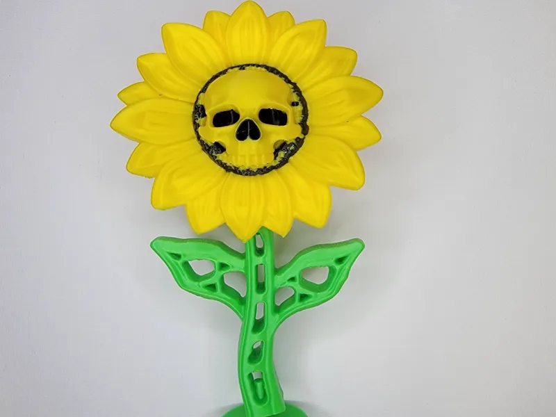 Sunflower 