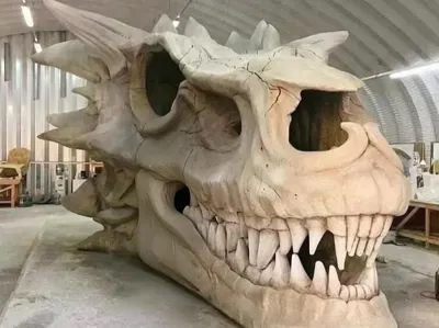 Black Dread Balerion Skull Fossil