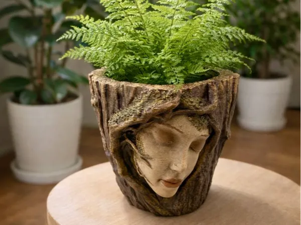 https://makerworld.bblmw.com/makerworld/model/US80cc765d0c05a1/design/2026-01-03_403a49194e1c7.jpg