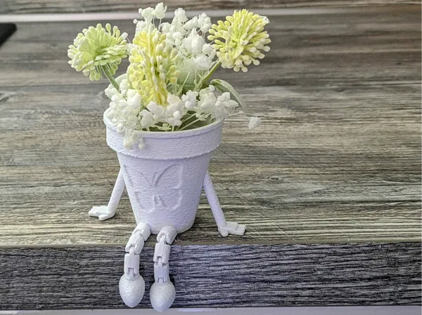 https://makerworld.bblmw.com/makerworld/model/US80d4bebb635c63/design/2025-05-10_480d2b283b2f98.jpg
