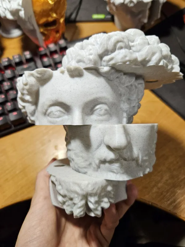 https://makerworld.bblmw.com/makerworld/model/US80d70c4af227e0/design/2024-11-13_cb62927c55e36.jpg
