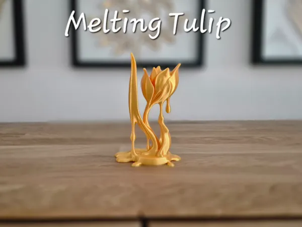 https://makerworld.bblmw.com/makerworld/model/US80da05aafb8c37/design/2025-07-11_f0e77fc3e78af.jpg
