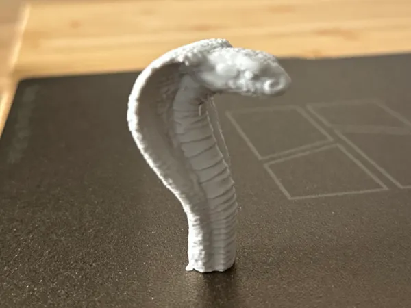 https://makerworld.bblmw.com/makerworld/model/US80db6972750028/design/2025-07-03_c45fa3010595e8.jpeg