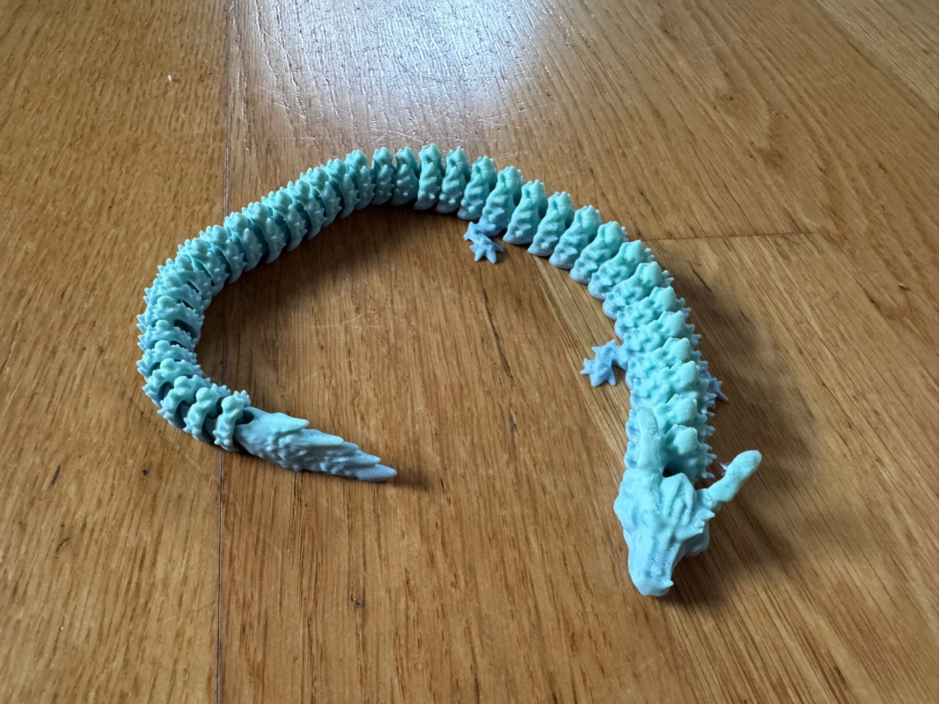 dragon-flexi