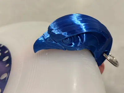 Nighthawk frisbee clip