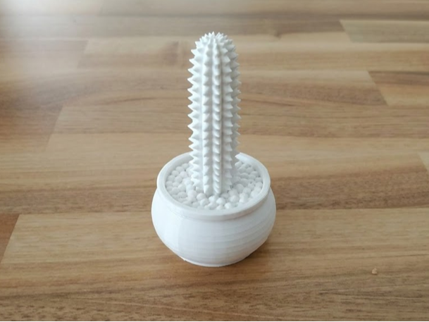 Potted Cactus Miniature