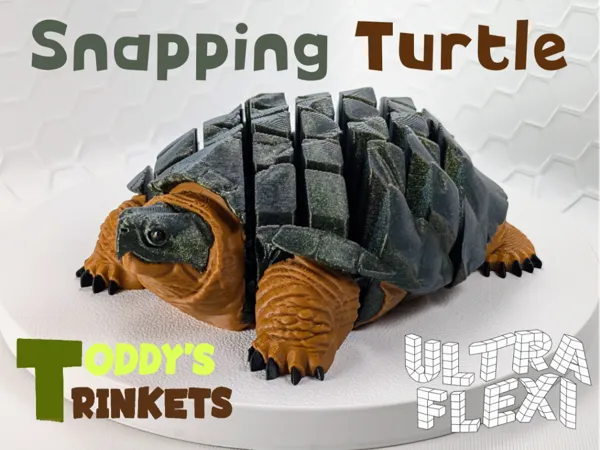 https://makerworld.bblmw.com/makerworld/model/US80e79368406a0f/design/2d55dc71cec213bb.png