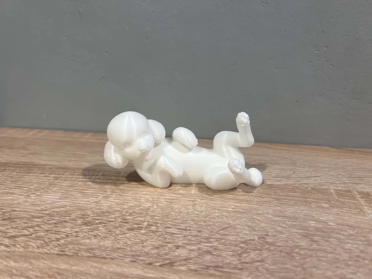 Lying Toy Poodle - Animal - Dog - Decor view 3