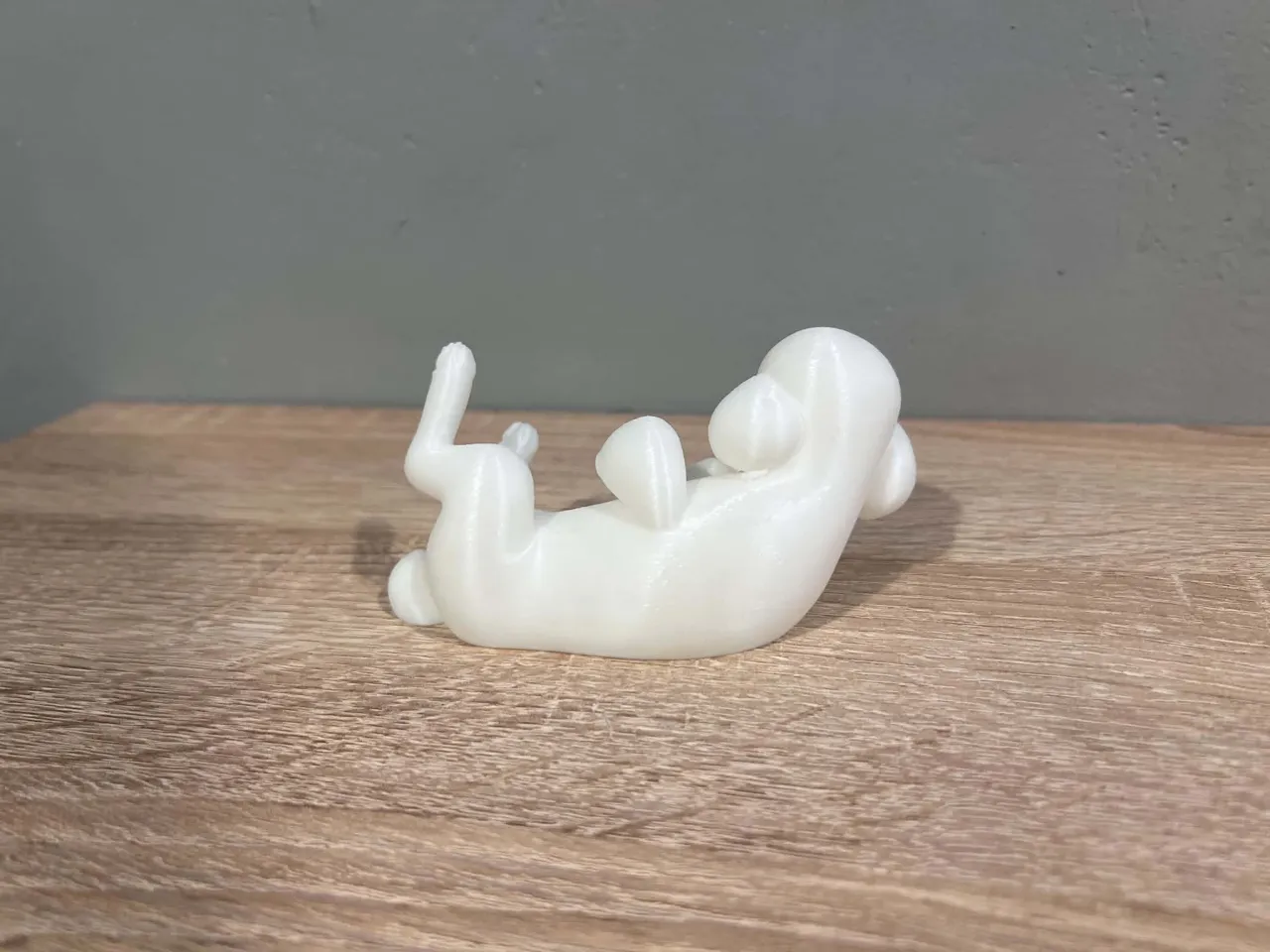 Lying Toy Poodle - Animal - Dog - Decor view 4