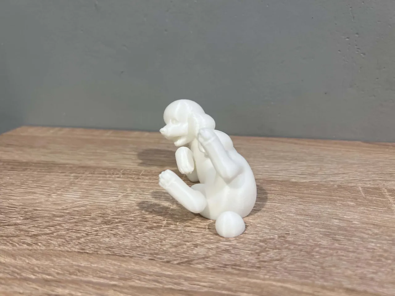 Lying Toy Poodle - Animal - Dog - Decor view 2