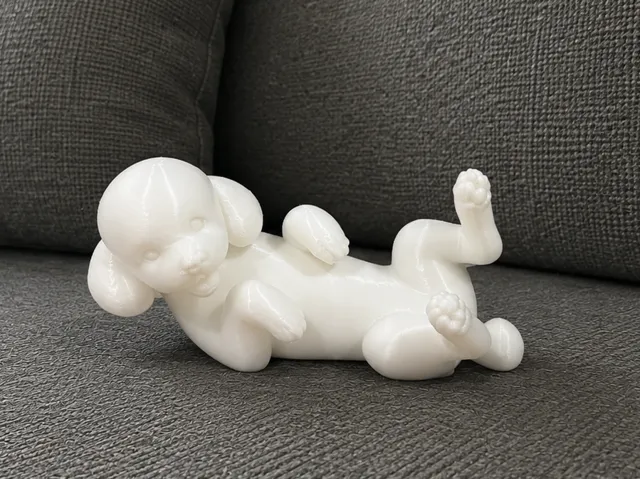 Lying Toy Poodle - Animal - Dog - Decor