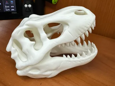 T-REX Skull