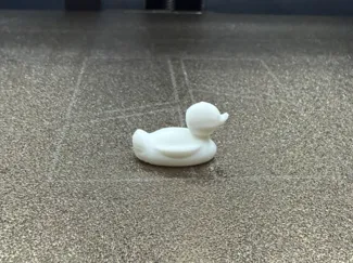 DUCK 10 MIN TEST PRINT