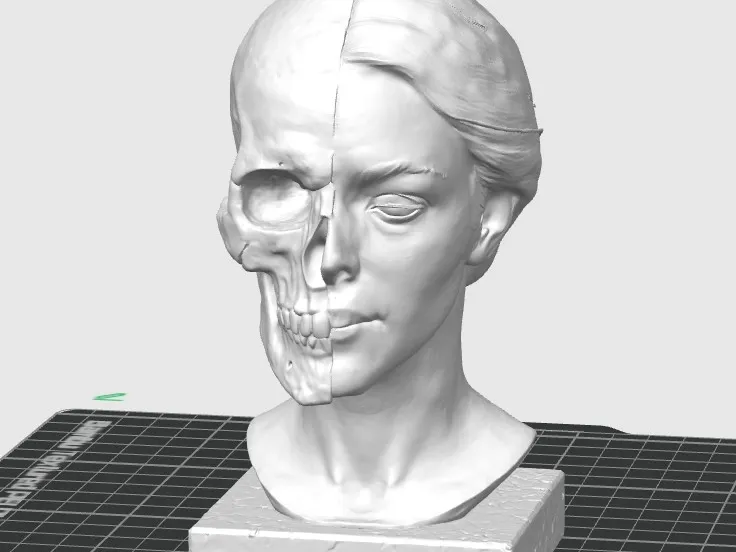 Buste femme skull