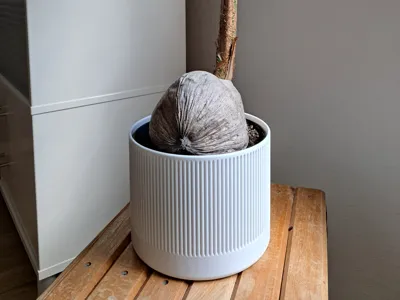 Flowerpot in various sizes