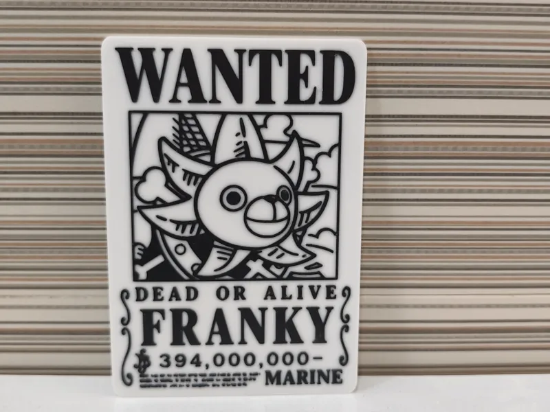 Cartel de Recompensa "WANTED" Franky (One Piece)