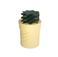 Cactus plant piece
