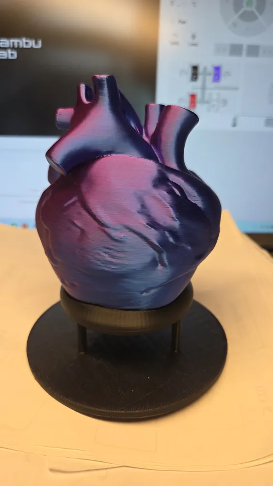 Display Stand for Anatomical Heart by SmirkOfPureEvil MakerWorld ...