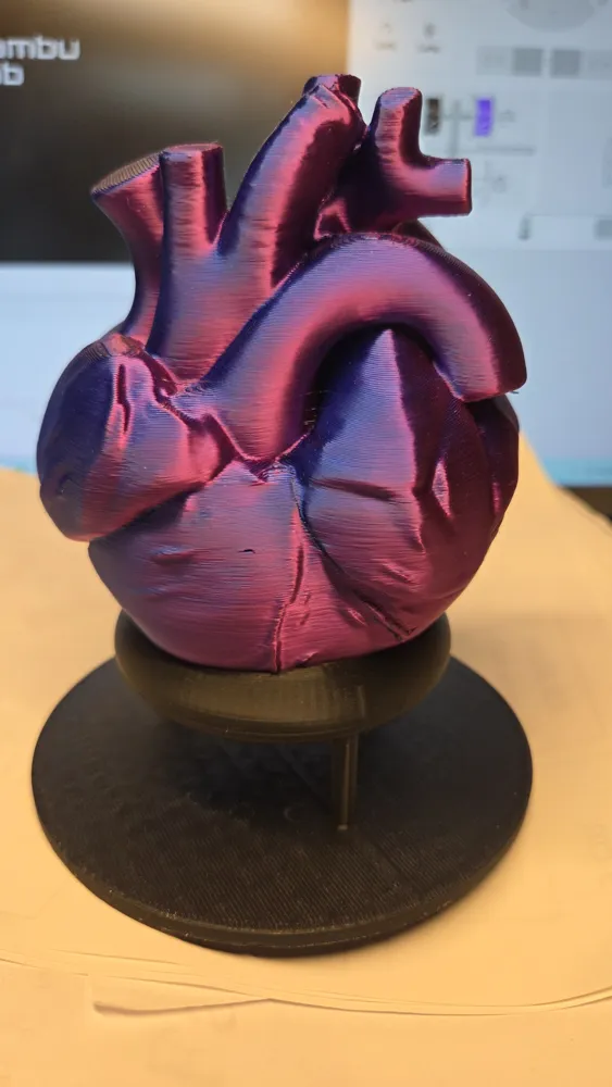 Display Stand for Anatomical Heart by SmirkOfPureEvil MakerWorld ...
