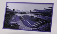 Ravens 0.08mm layer, 2 walls, 100% infill