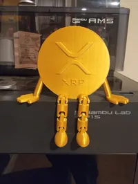 Pièce XRP articulée — photo 2