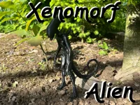 Xenomorphe Alien — photo 2