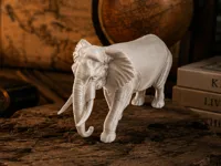 African Elephant normal size