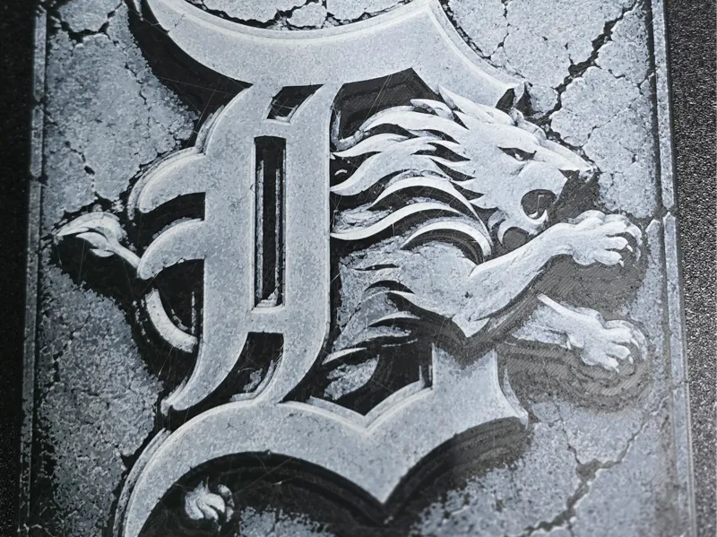 Detroit Lions